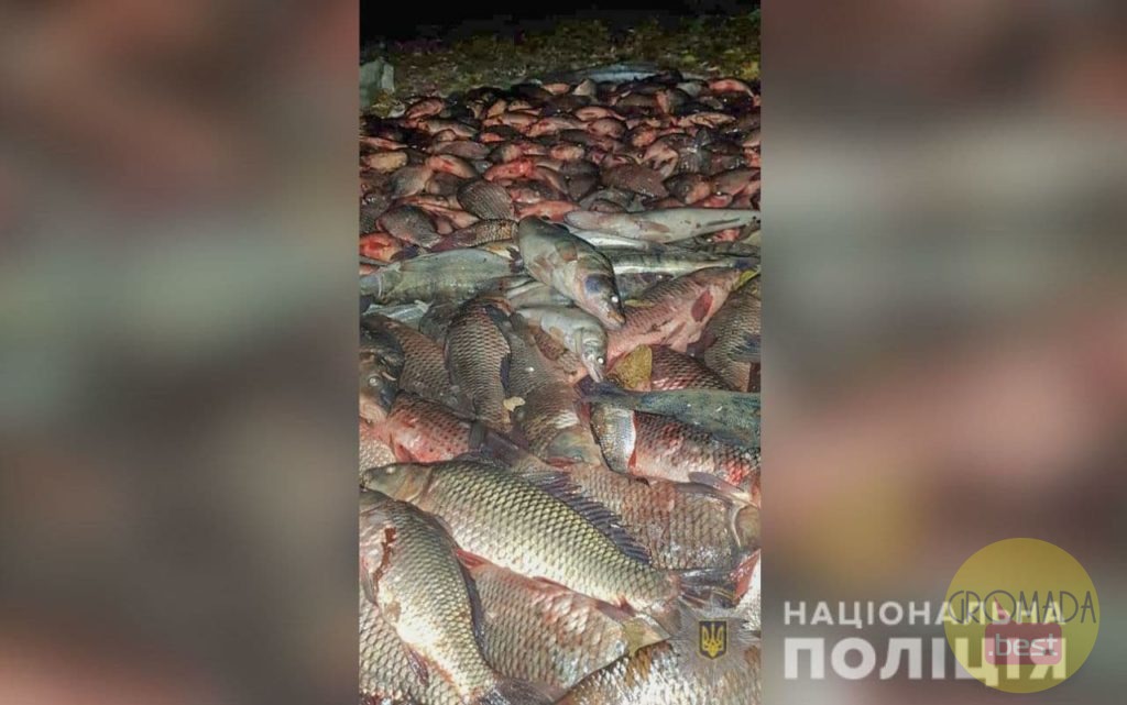 Водосховищі у браконьєра викрили риби на 67 тис грн