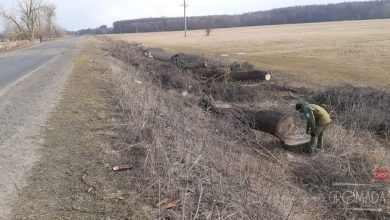 Встановлення винних осіб та притягнення до відповідальності 