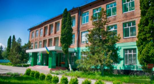 Градизьку спецшколу приєднають до Кременчуцької спеціальної школи