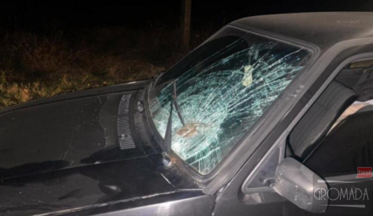 Неподалік Горішніх Плавнів водій Volkswagen збив жінку