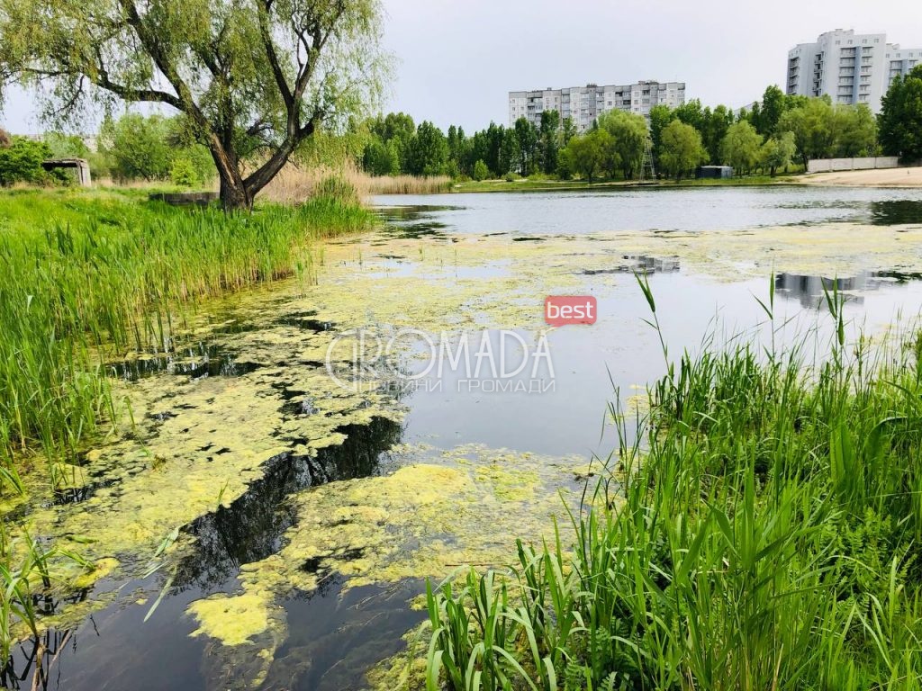 Сухий Кагамлик у Кременчуці гине перетворюючись на болото ФОТО
