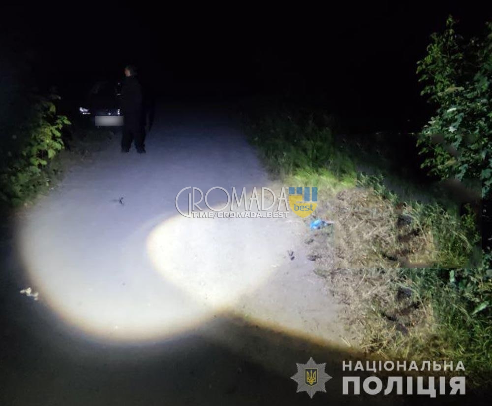 У селі Вільна Терешківка водій ВАЗ збив двох чоловіків і втік