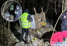 Трагедія у Максимівці: Затримано підозрюваного у вбивстві жінки з лісосмуги